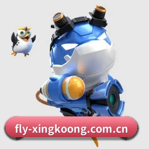 fly-xingkoong.com.cn APP（xingkong）
